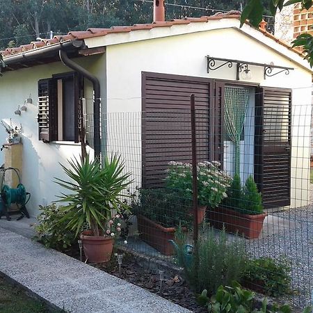 Da Lilly Apartment Lucca Buitenkant foto